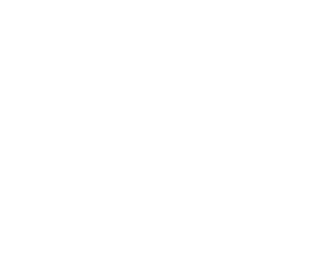 IT Pring Ranch Roping Rider - white